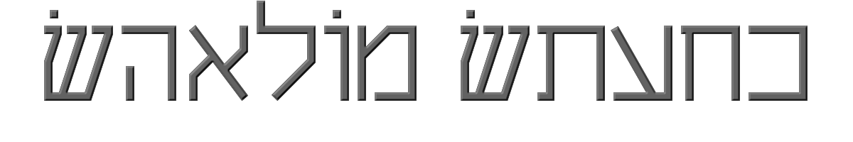 Shalom Stick 
