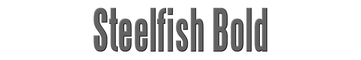 Steelfish Bold 