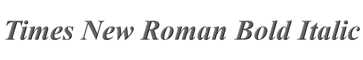Times New Roman Bold Italic 