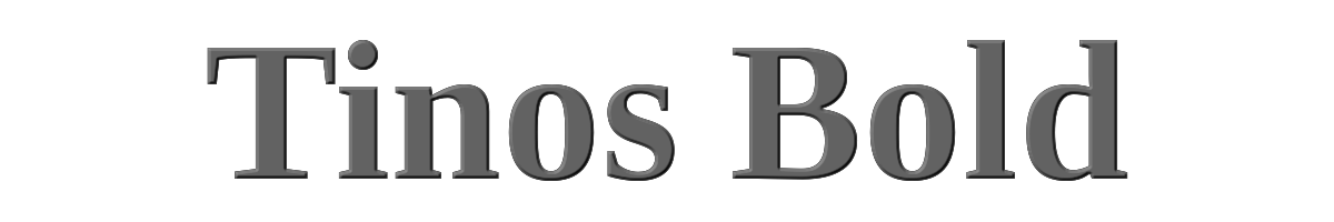 Tinos Bold 