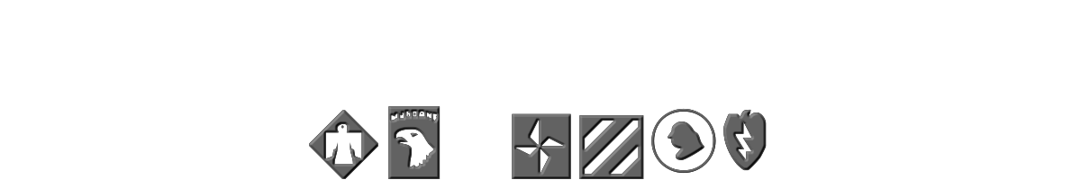 US Army 