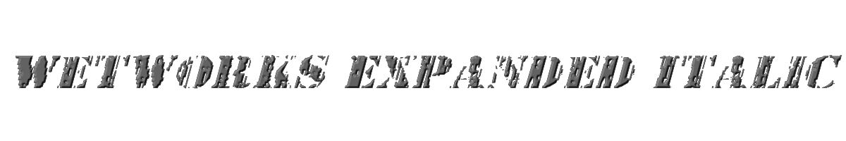 Wetworks Expanded Italic 