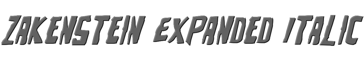 Zakenstein Expanded Italic 