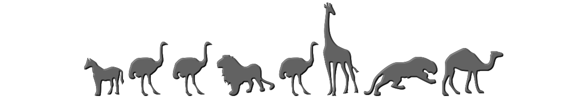 Zoologic 