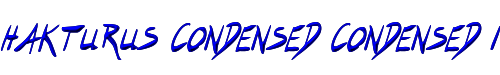 Hakturus Condensed Condensed Italic 