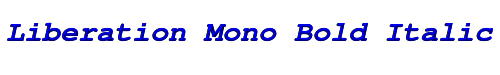 Liberation Mono Bold Italic 