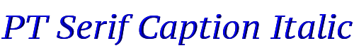 PT Serif Caption Italic 