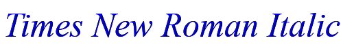 Times New Roman Italic 