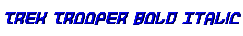 Trek Trooper Bold Italic 