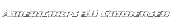 Americorps 3D Condensed 