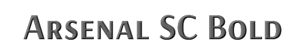 Arsenal SC Bold 