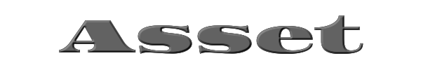 Asset 