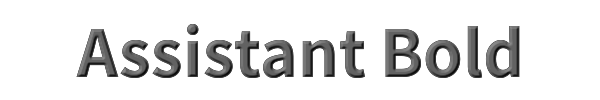 Assistant Bold 