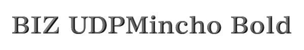 BIZ UDPMincho Bold 