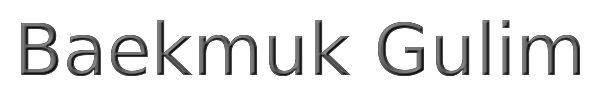 Baekmuk Gulim 