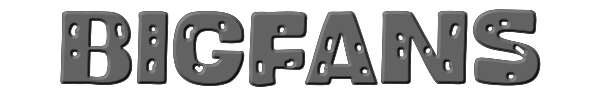 Bigfans 