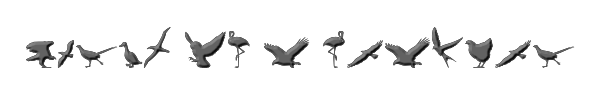 Birds of a Feather 