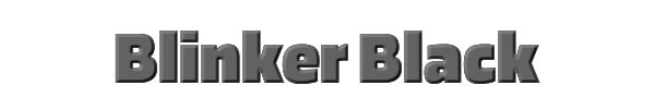 Blinker Black 
