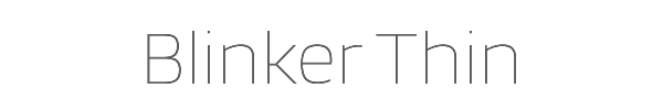 Blinker Thin 