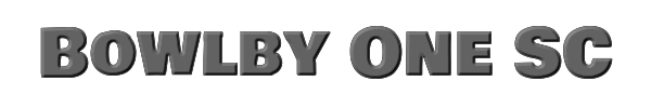 Bowlby One SC 