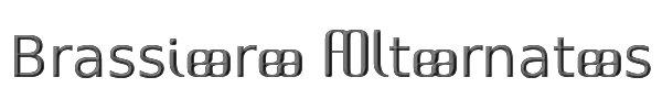 Brassiere Alternates 