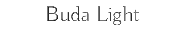 Buda Light 