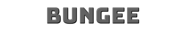 Bungee 