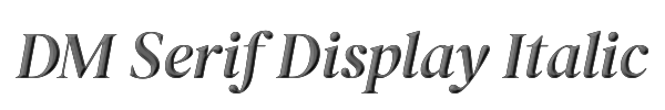 DM Serif Display Italic 