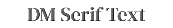 DM Serif Text 