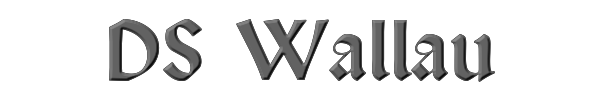 DS Wallau 