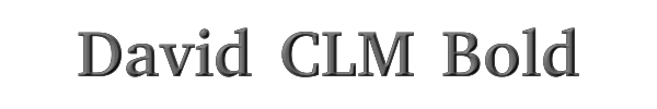 David CLM Bold 