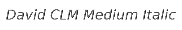 David CLM Medium Italic 