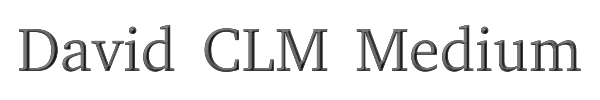 David CLM Medium 