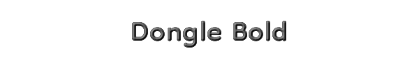 Dongle Bold 