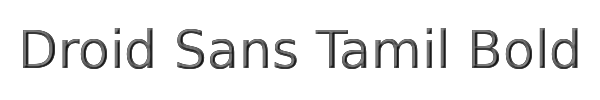 Droid Sans Tamil Bold 