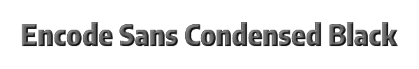 Encode Sans Condensed Black 