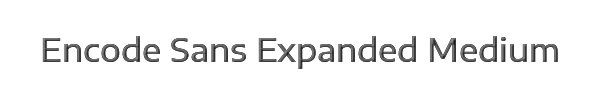 Encode Sans Expanded Medium 