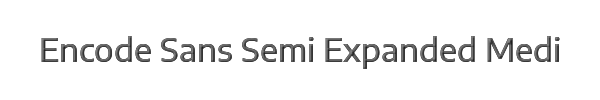 Encode Sans Semi Expanded Medium 