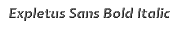 Expletus Sans Bold Italic 