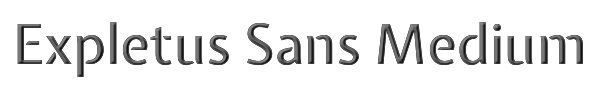 Expletus Sans Medium 