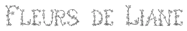 Fleurs de Liane 