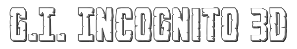 G.I. Incognito 3D 