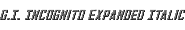G.I. Incognito Expanded Italic 