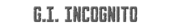 G.I. Incognito 