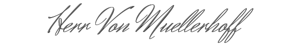 Herr Von Muellerhoff 