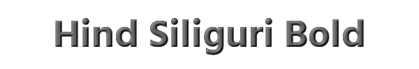 Hind Siliguri Bold 