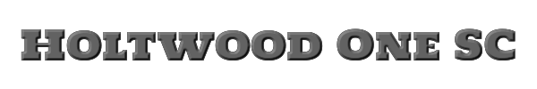 Holtwood One SC 
