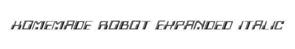 Homemade Robot Expanded Italic 