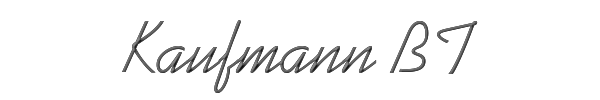 Kaufmann BT 