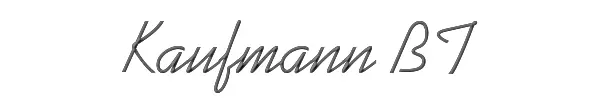 Kaufmann BT 